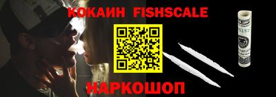стаф Гай