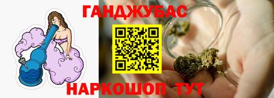 стаф Гай