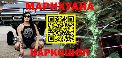 стаф Гай
