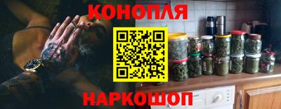 стаф Гай
