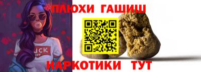 стаф Гай