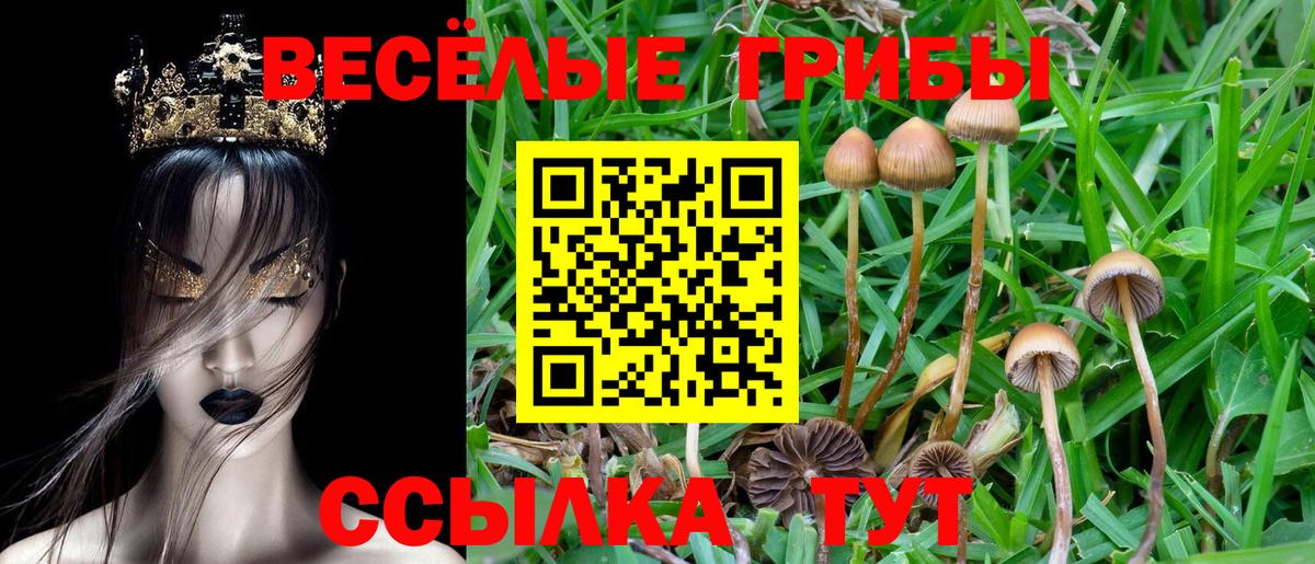Озёры  Псилоцибиновые грибы Psilocybine cubensis  Галлюциногенные грибы GOLDEN TEACHER  Вход с VPN 