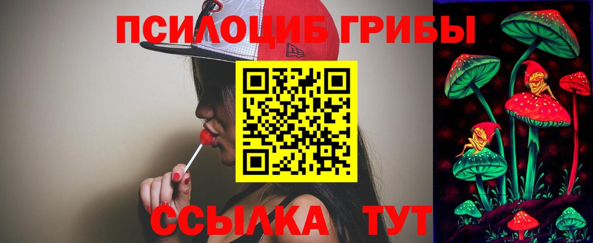 Галлюциногенные грибы Psilocybine cubensis Озёры